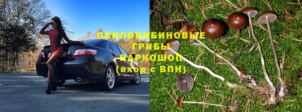 спайс Алексеевка