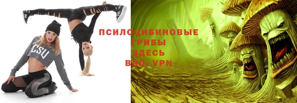 спайс Алексеевка