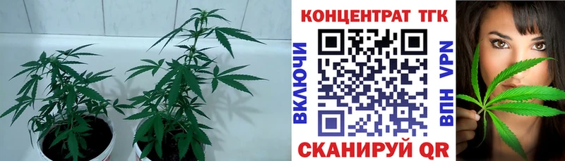 даркнет сайт  Ревда  ТГК гашишное масло 