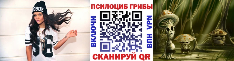 гидра   Ревда  Псилоцибиновые грибы GOLDEN TEACHER 
